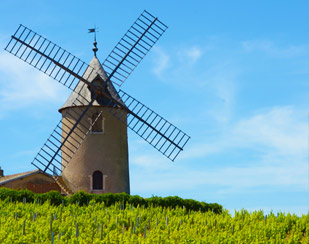 CRUS DU BEAUJOLAIS