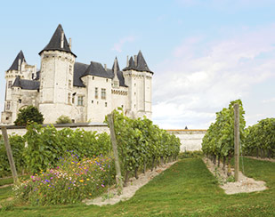 VIN DE LOIRE
