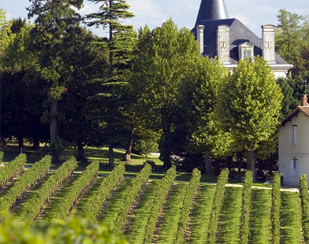VINS DE BORDEAUX