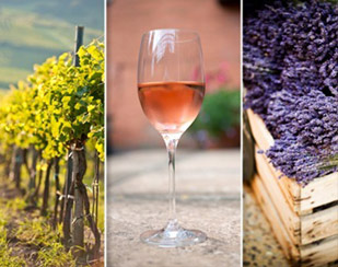 VINS DU SUD